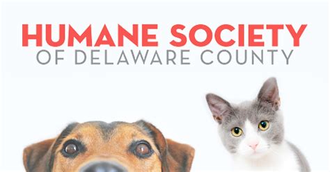 HSDC Available Dogs.